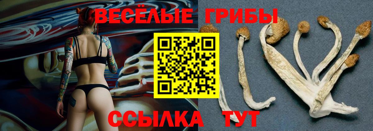 Галлюциногенные грибы мицелий Нарткала