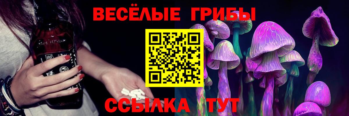 Галлюциногенные грибы Psilocybine cubensis  Вход с VPN  Нарткала  Псилоцибиновые грибы Psilocybe 